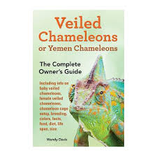 Proper care for a chameleon absolutely requires the keeper to understand th. Veiled Chameleons Or Yemen Chameleons As Pets Info On Baby Veiled Chameleons Female Veiled Chameleons Chameleon Cage Setup Breeding Colors Facts Buy Online In South Africa Takealot Com