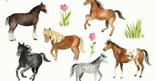 Watercolor Horses Clipart Horse And Pony Breeds Shetland Clydesdale Appaloosa Running Horses Instant Download Digital Png Images Watercolor Horse Watercolor Horse Painting Horses