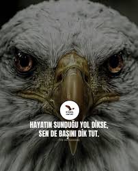 Motive Edici Sozler Motivasyon Arayanlar Icin Dev Rehber Stabilhayat Motivasyon Motivasyon Sozleri Hayat