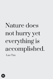 Pin On Next Level Gents