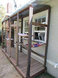 Oh Behave Does Your Cat Need To Go Outside To Be Happy It Is A Common Belief That Cats Need To Go Outside To Outdoor Cat Enclosure Diy Cat Enclosure Cat