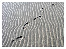 Als das letzte bild an meinen augen vorübergezogen war, blickte ich zurück. Spuren Im Sand Foto Bild Landschaft Meer Strand Natur Bilder Auf Fotocommunity