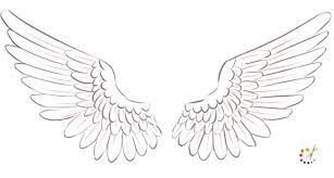 This line is the middle line between the right and left notice how the wings are divided into 2 sections. How To Draw Wings Folded Archives How To Draw