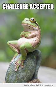 Challenge Accepted Cute Animals Funny Animals Animals