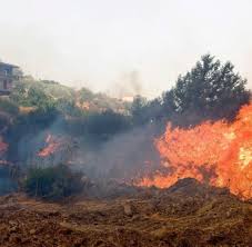 Na ja, nach zypern, kreta und korfu ist rhodos nun die vierte griechische insel die ich besuche und auch diesmal sollte. Feuer Auf Rhodos Bilder Fotos Welt