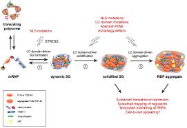 Functional cookies to enhance your experience (e.g. Https Edoc Ub Uni Muenchen De 24873 2 Wunderlich Hilary Pdf