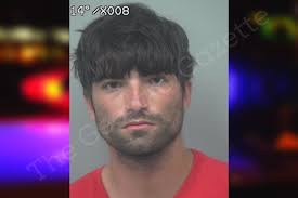 Mitchell Fleming — Gwinnett County Jail Bookings