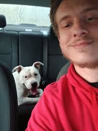 Who is the owner of the lost dog found in Jacksonville?