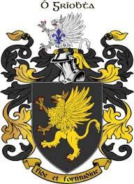 Maybe you would like to learn more about one of these? Griffin Tribes Around The World Ireland