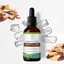 Image result for Cryptolepis