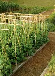 Pin Auf Backyard Garden