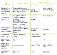 52 Rigorous Pond Microorganisms Identification Chart