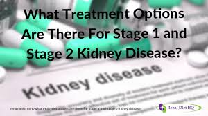 What Treatment Options Are There For Stage 1 And Stage 2 Kidney Disease Renal Diet Menu Headquarters