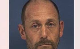 Reef balls' at Blue Marsh Lake help grow aquatic habitat