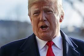 Free Press Editorials