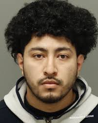 ACOSTA-RODRIGUEZ ROGER ARMAN 01/24/2025