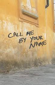 Check spelling or type a new query. Call Me By Your Name Blank Journal And Movie Quote Ants Rome Run Write Walker Luke Amazon Co Uk Books