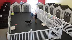 Why Dog Daycare Owners Are Choosing Wambam Fence Dogdaycare Fence Dog Daycare Design Dog Boarding Kennels Dog Daycare