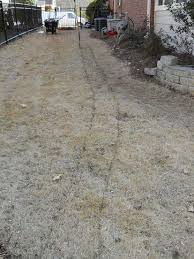 Rain Always Brings A Few Drainage Calls Some Past Solutions Gardening Plumbing Downspout Drainage Drainage Solutions