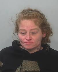 Vanessa Lynn Willard