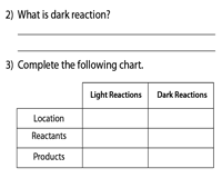 In lab the more hydrophobic (less. Photosynthesis Worksheets