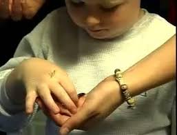 Bugs rock at Insectapalooza