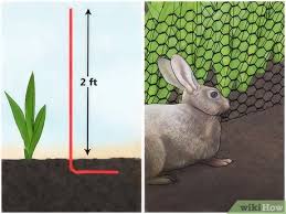 How can i naturally get rid of rabbits? 3 Ways To Keep Rabbits Out Of Your Garden Organically Wikihow