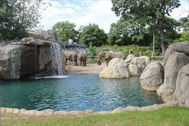 Roger williams park zoo is an amazing place to visit because it allows people to get hands on with the animals as well as provides a great educational experience! Roger Williams Park Zoo Providence Ri Wikipedia Entries On Waymarking Com
