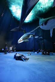 Check spelling or type a new query. Page Not Found Aquarium Architecture Public Aquarium Installation Art