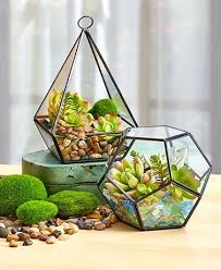 Build Your Own Succulent Garden With This Decorative Terrarium Or Filler The Glass And Metal Teardrop Terrarium Succulent Terrarium Terrarium Glass Terrarium