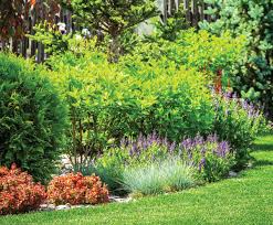 Privacy screen design ideas & planting tips. Green Screens Creating Privacy Through Landscaping Central Virginia Home Magazine