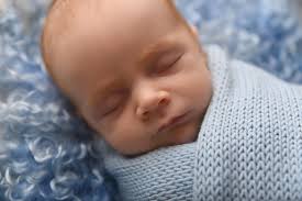 Lisa Pascal Photography