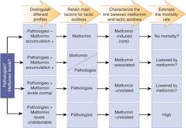 Metformin And Other Antidiabetic Agents In Renal Failure Patients Kidney International