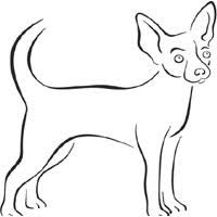 Chihuahua coloring page from dogs category. Short Haired Chihuahua Coloring Pages Surfnetkids