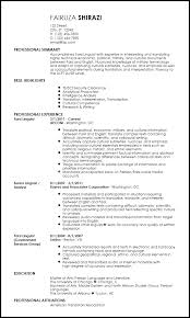 Free Professional Translator Resume Examples Resume Now