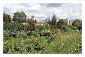 Parc Lucie Aubrac aux cœur des Lilas – ARCHIPHOTOS