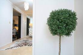 What is benjamin moore advance. Miscellaneous Benjamin Moore Mountain Peak White