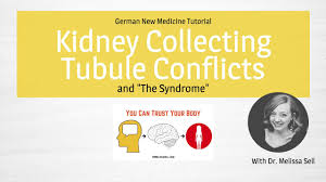 German New Medicine Kidney Collecting Tubules Conflict And The Syndrome
