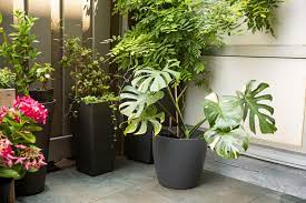 Gardener's supply company self watering pot reservoir. The Basics Of Self Watering Containers