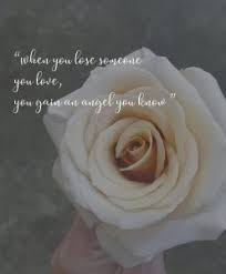 Here we have compiled a set of sorry images and wallpapers although these two words are the beginning of the phrase, i'm sorry for your loss, they actually say more. 10 Simple Condolence Messages Hands On Floral