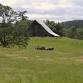 IN A LANDSCAPE: Mildred Kanipe Memorial Park