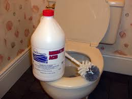 The product you use to restore a rusty lawn chair or hammer is not going to be the appropriate treatment for a rusted buckle. Muriatic Acid Is Best For Removing Stubborn Toilet Bowl Stains Silive Com