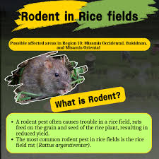 Profile for Jonathan Abing