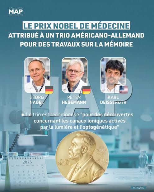 Le prix Nobel de médecine attribué à un trio américano-allemand pour des travaux sur la mémoire - Map Infographie