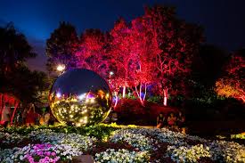 We did not find results for: Enchanted Garden Lights Up For Christmas In Brisbane Milton Today