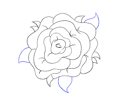 But there's no reason to be disappointed or scared. How To Draw A Rose Flower Easy Drawing Guides