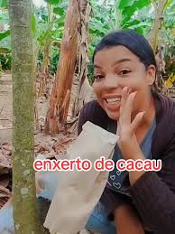 Melhor Mes Pra Fazer Enxerto De Cacau