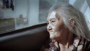 Rubah Tukang Nonton: 2017