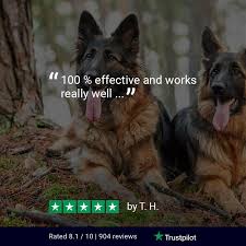 These may or may not be included in the dog cataract surgery cost, depending on the clinic you are using. 7 Essential Tips For Handling The Prey Drive In Dogs Tractive Blog