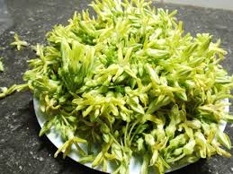 Image result for Telosma africana